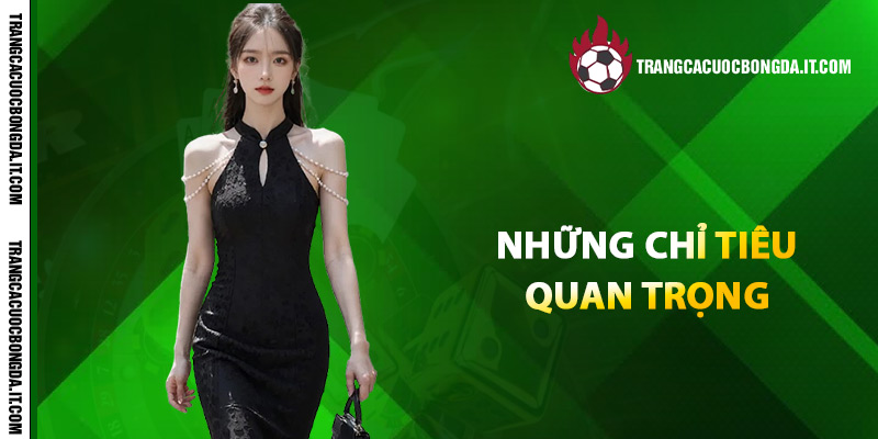 Những chỉ tiêu quan trọng khi lựa chọn trang cá cược bóng đá